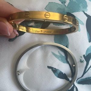 Cartier Love Bracelet in both Gold and Silver